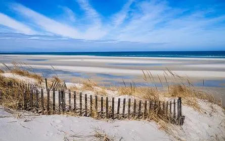 The Cape