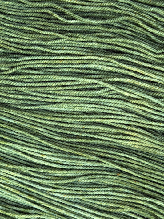 Olive Branch