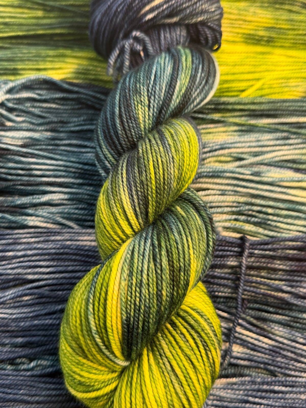 Fall Shadows