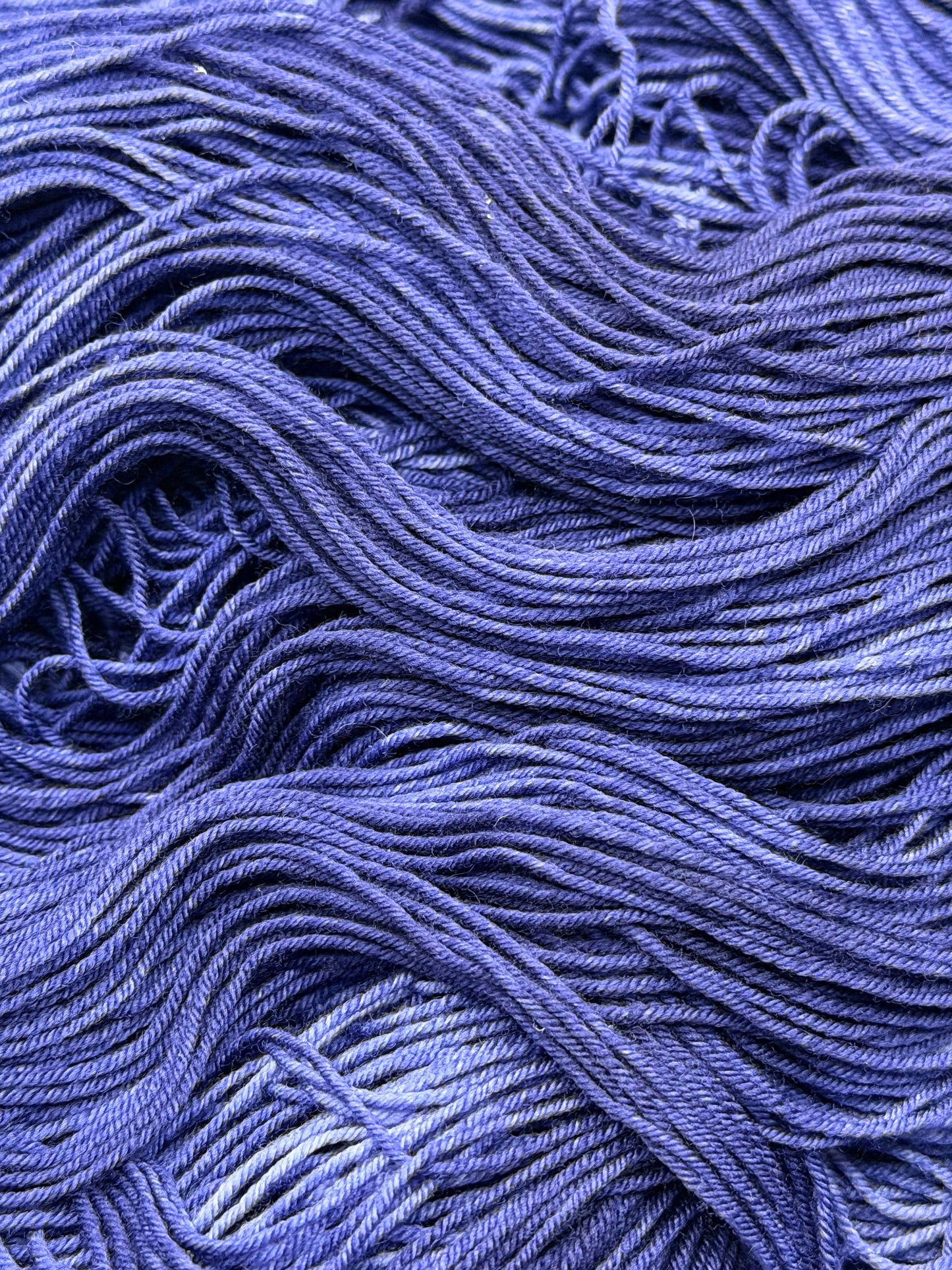 Wild Indigo (wooly Mammoth)