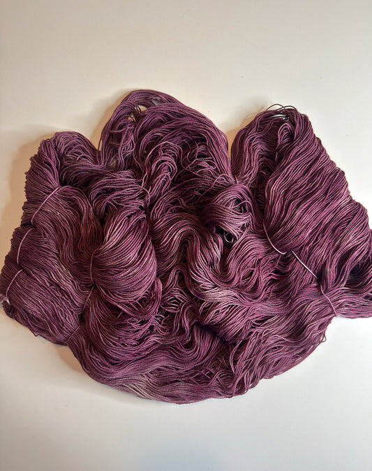 Midnight Fig (Wooly Mammoth)