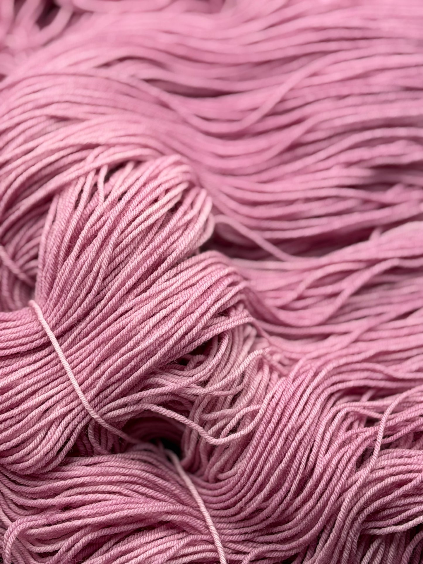 Rosewater (Wooly Mammoth)