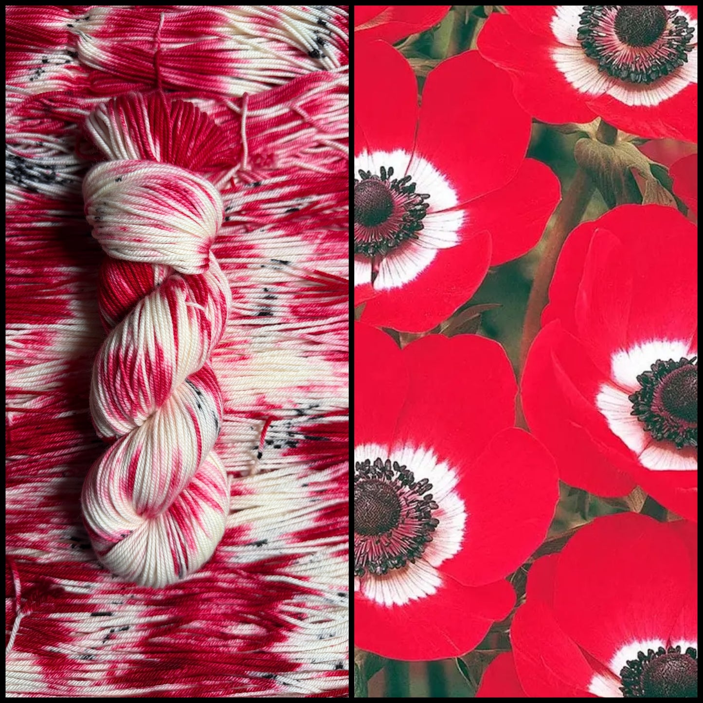 Wild Poppy