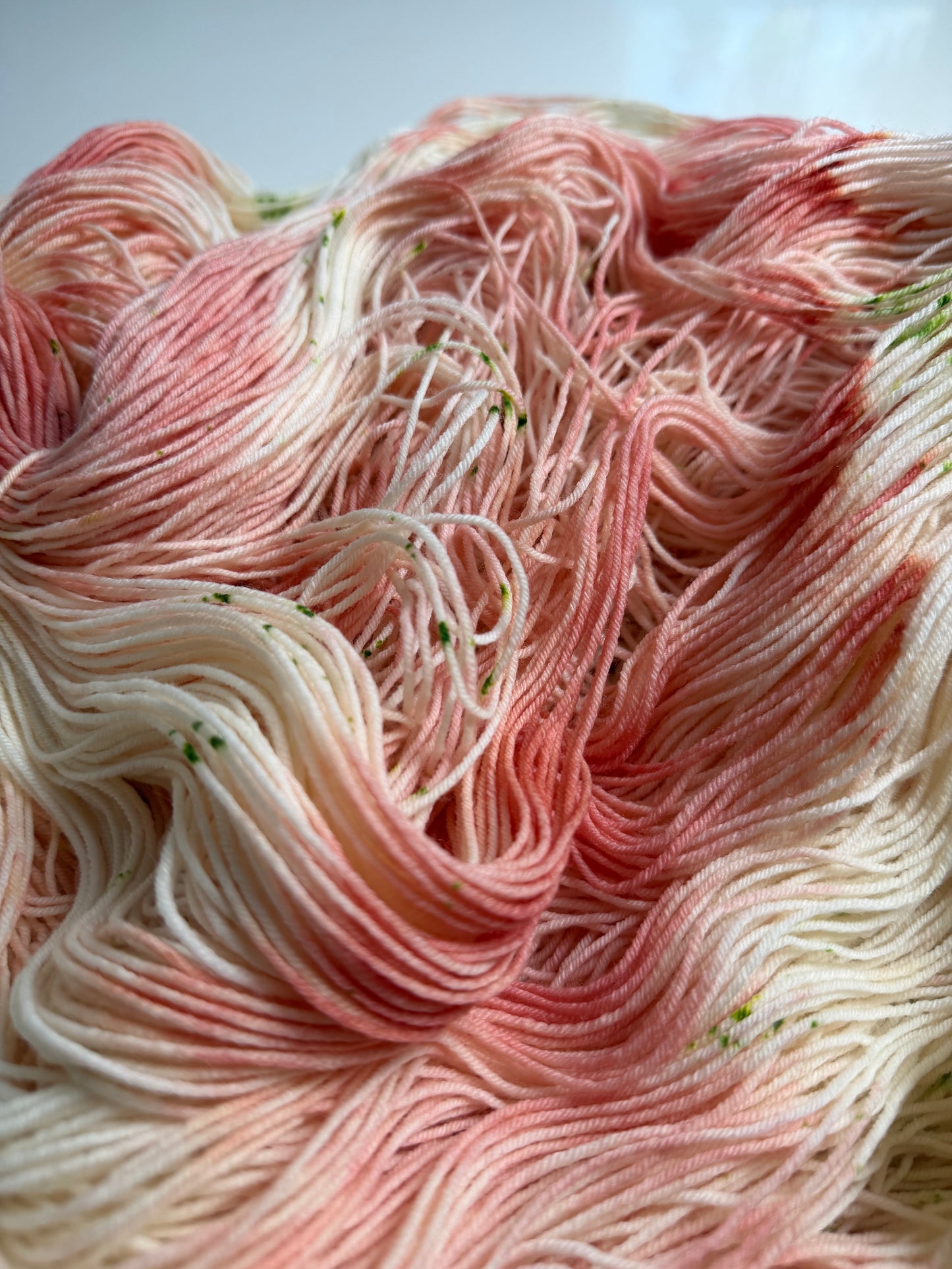 Ranunculus (Wooly Mammoth)